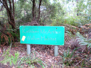 Golden Beach State School Wallum Habitat