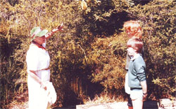 Kathleen talks to Year 7 studenta about the abundant Leptospermum