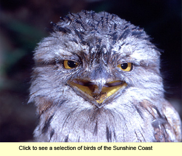 Select to see a selection of photos from Kathleen's Slide Collection